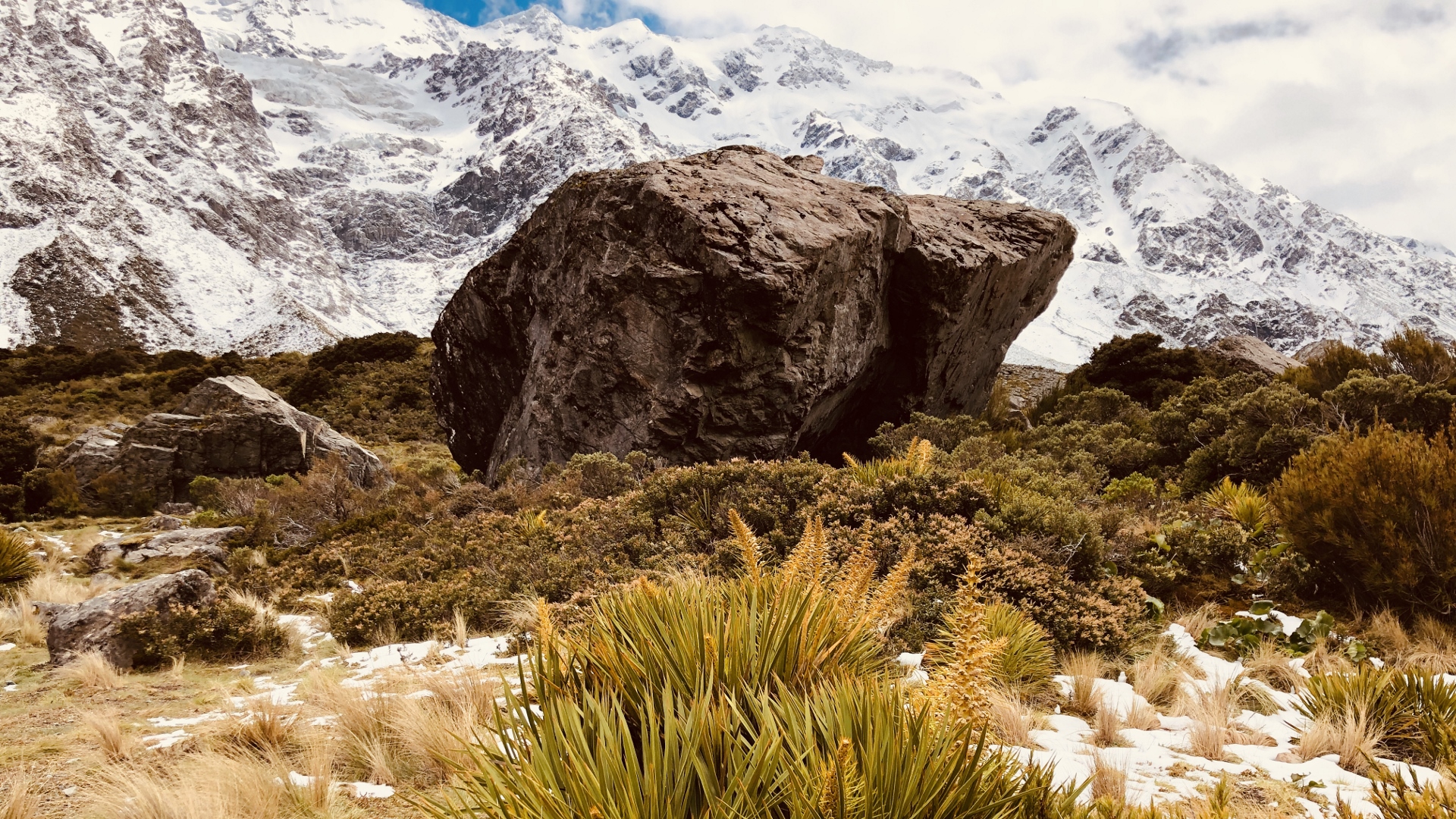 18.11.21 New Zealand 31