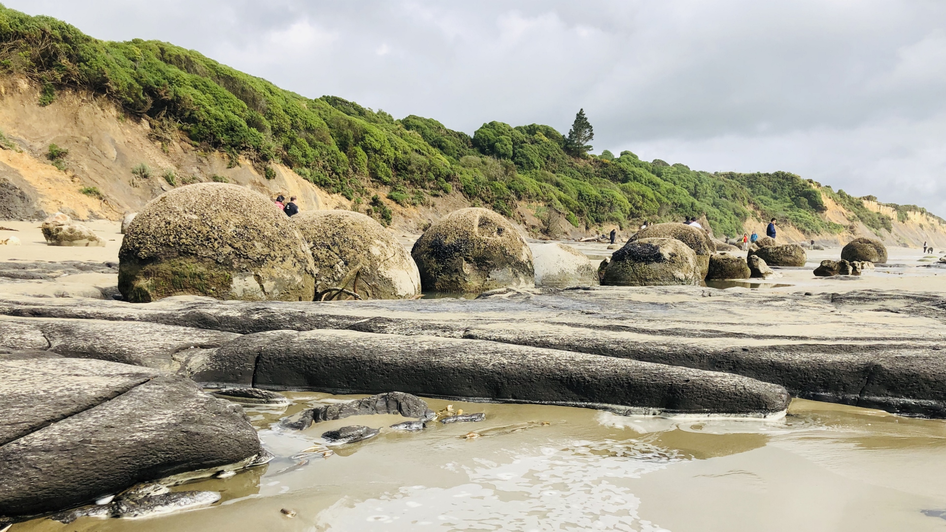 18.11.22 New Zealand 05