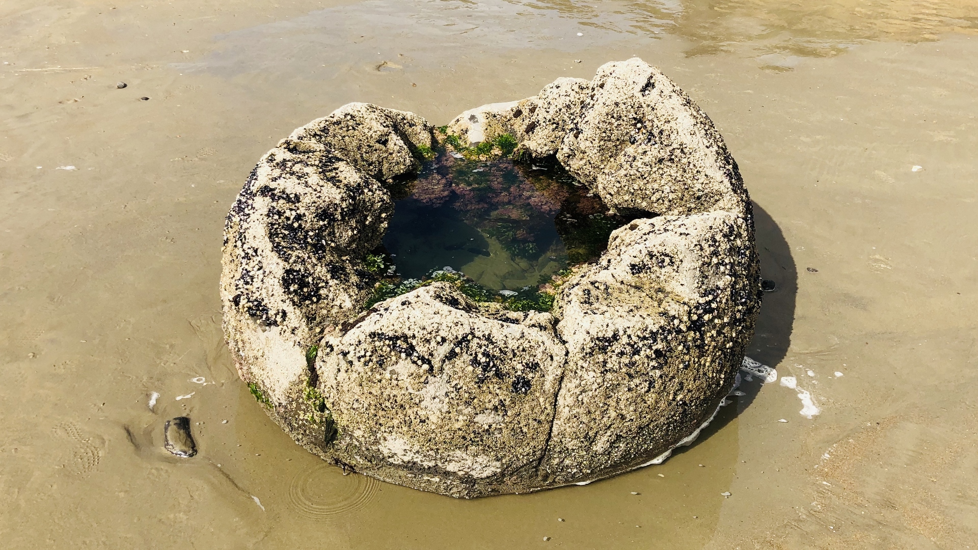 18.11.22 New Zealand 08