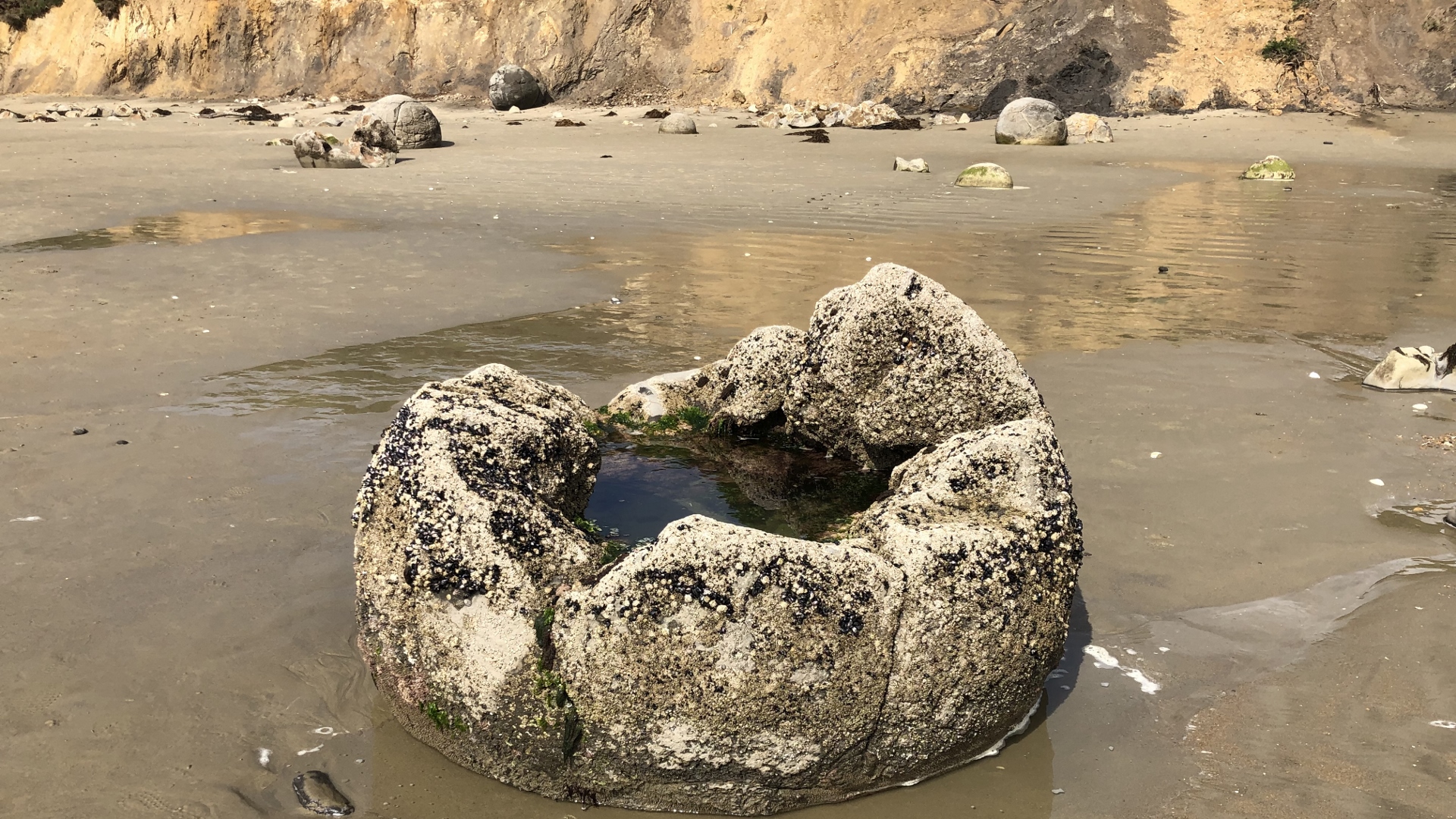 18.11.22 New Zealand 09