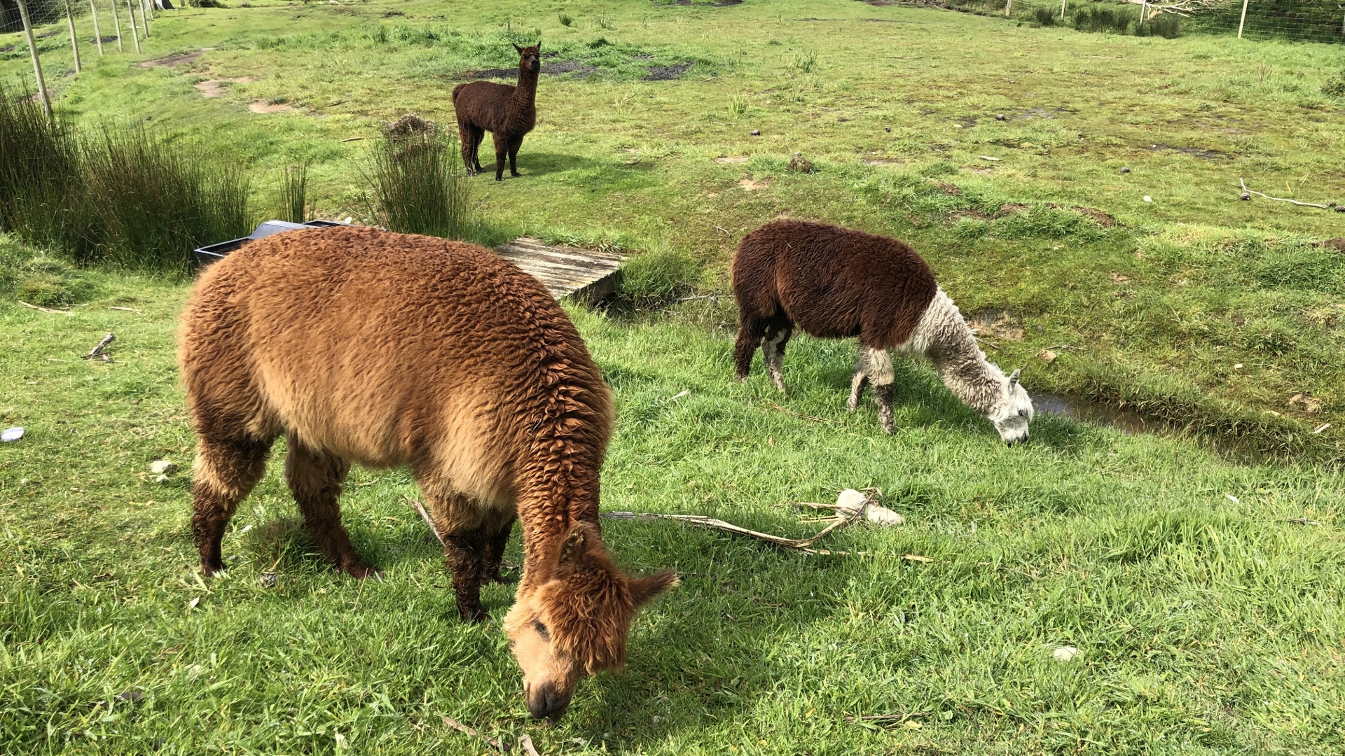 18.11.22 New Zealand 14