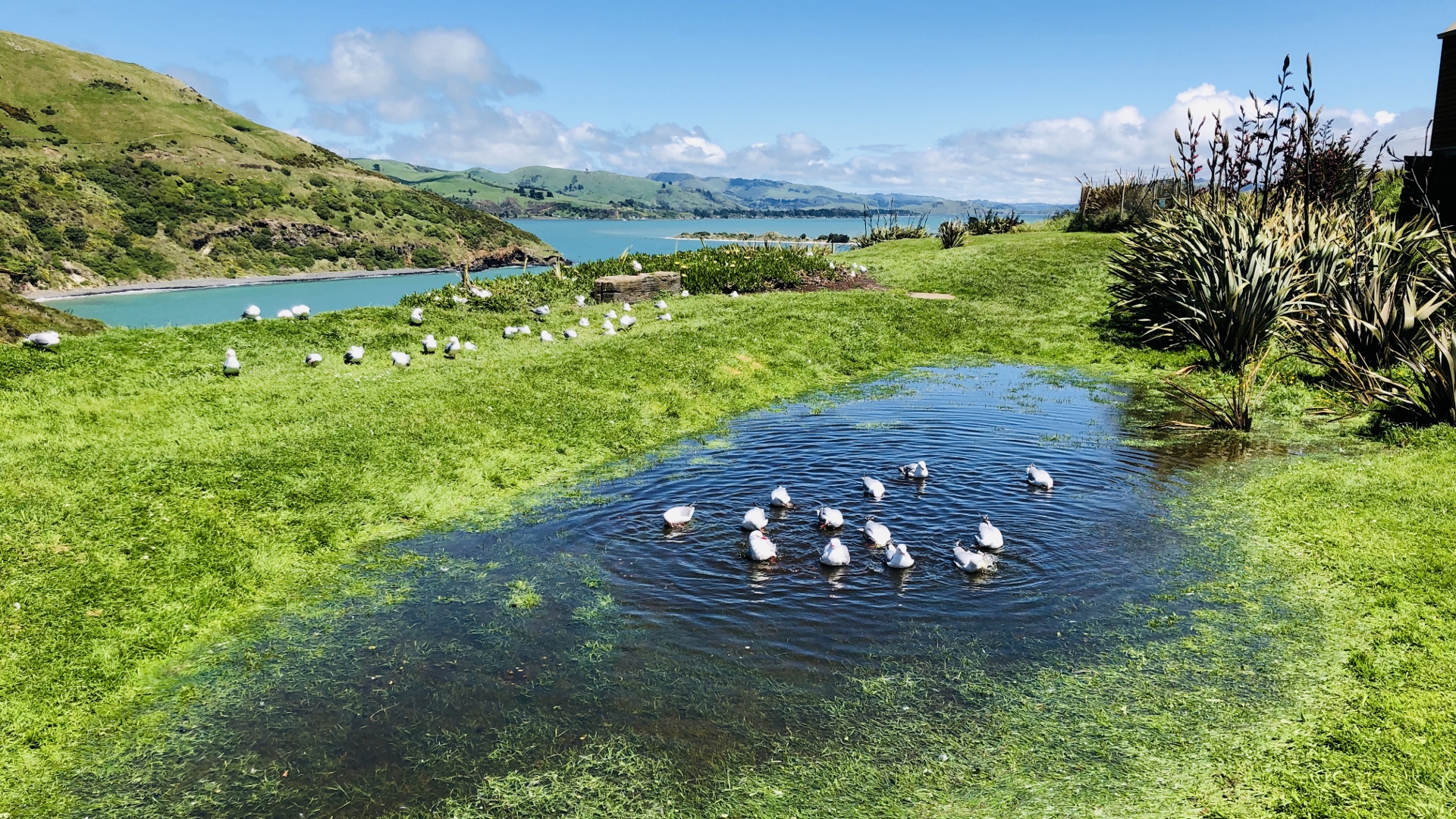 18.11.22 New Zealand 32