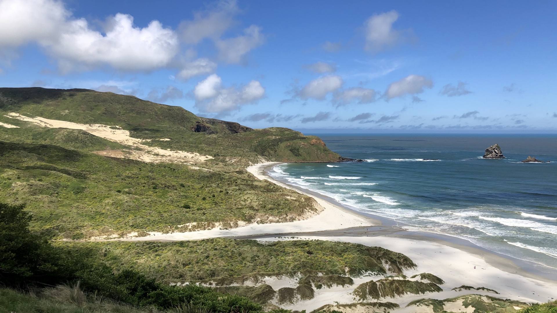 18.11.22 New Zealand 36