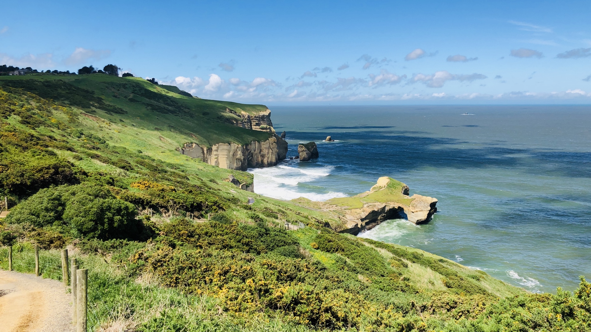 18.11.22 New Zealand 43