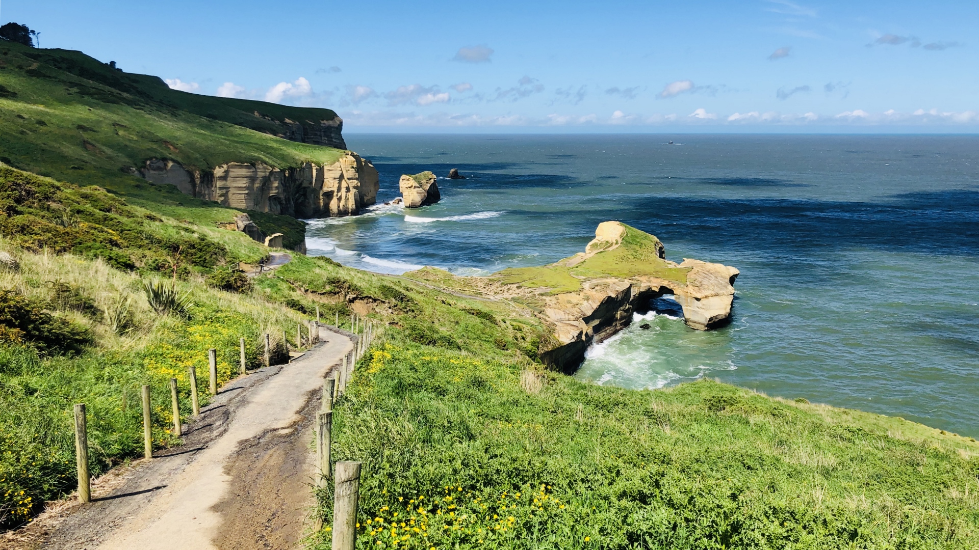 18.11.22 New Zealand 46