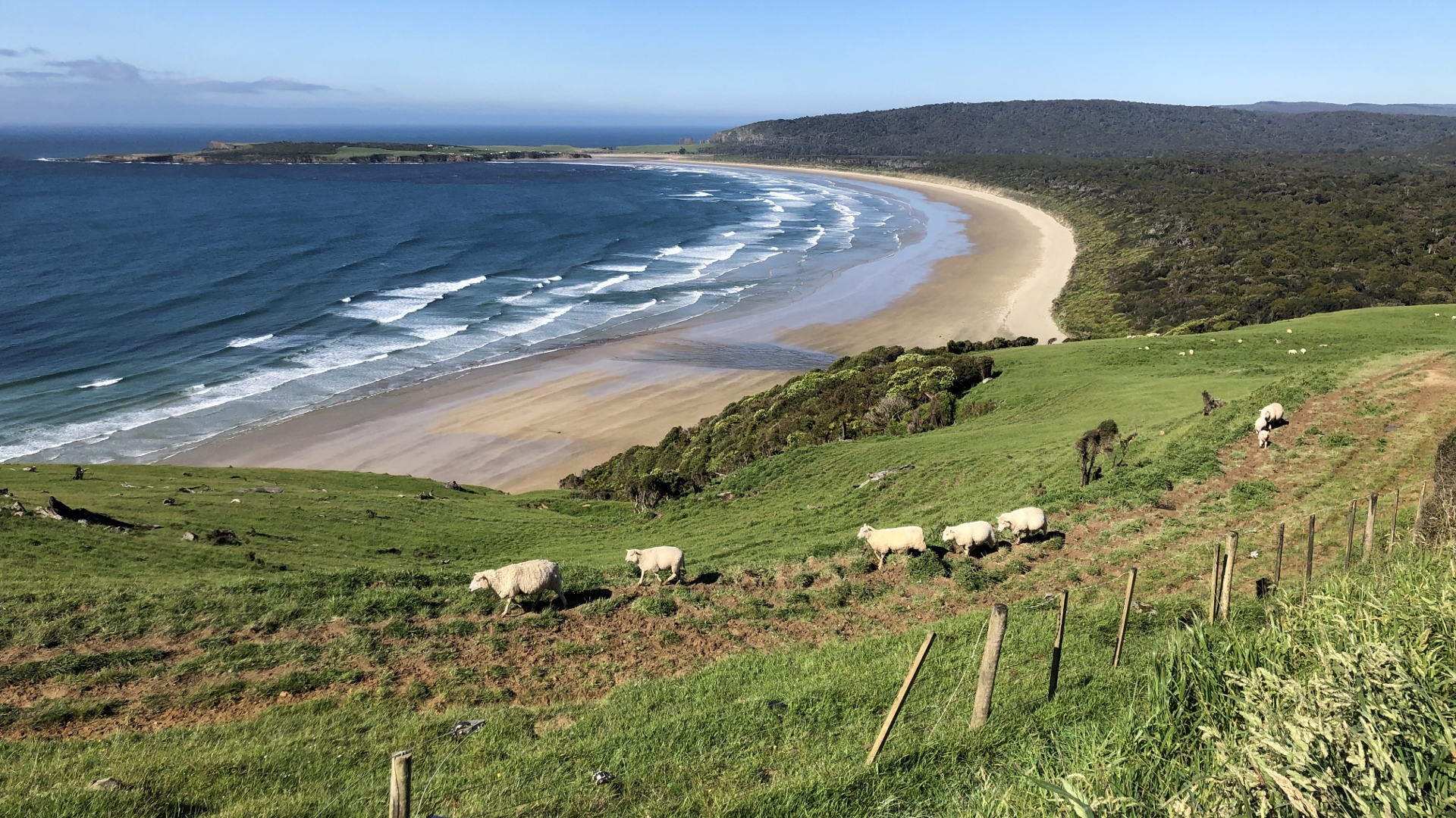 18.11.23 New Zealand 04