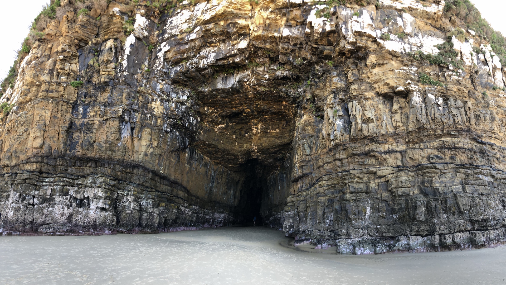 18.11.23 New Zealand 08