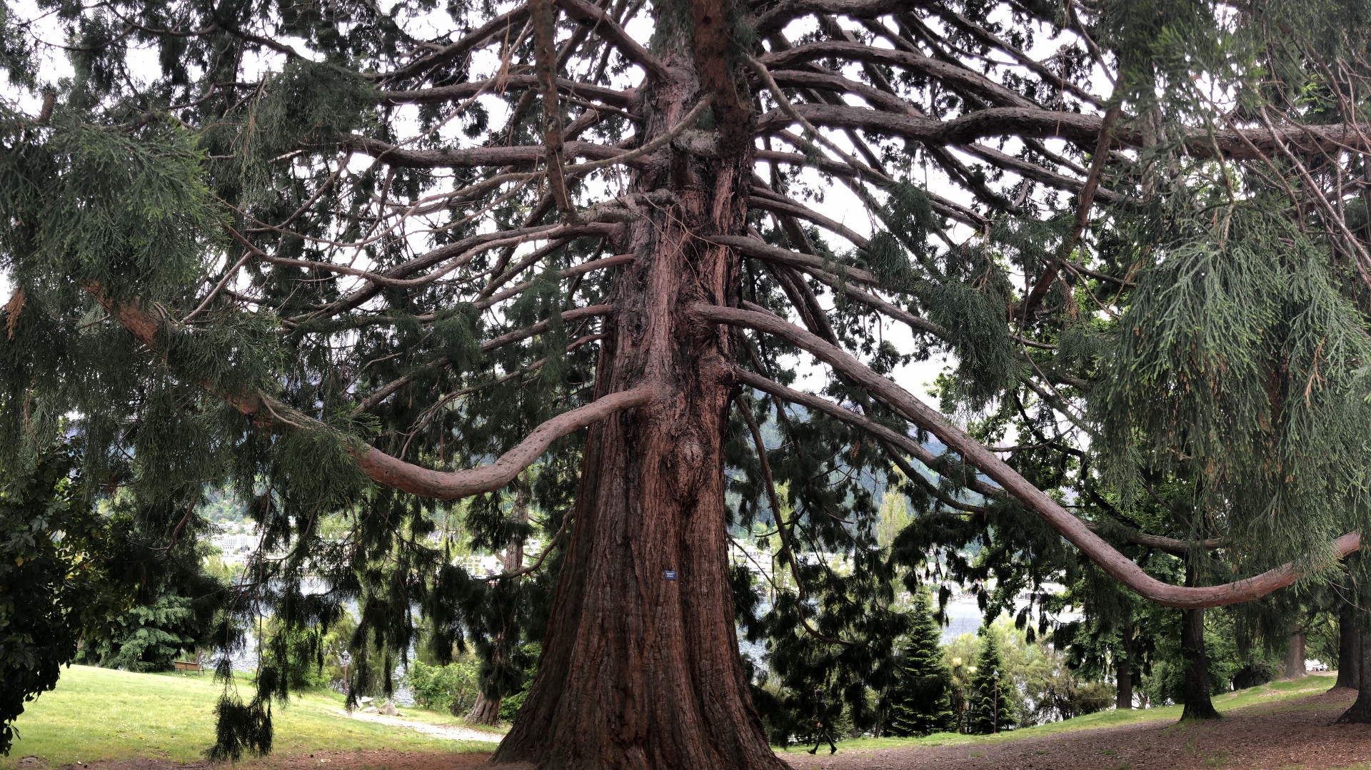 18.11.25 New Zealand 19