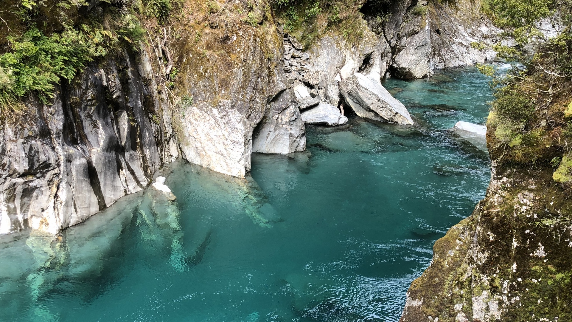 18.11.26 New Zealand 19