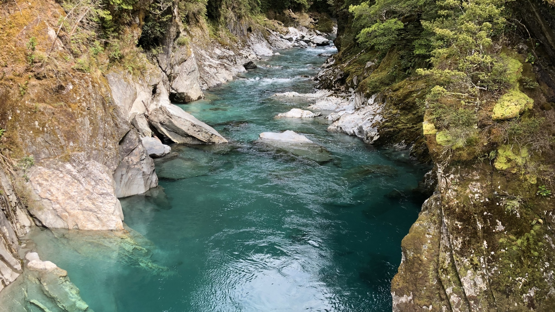 18.11.26 New Zealand 20