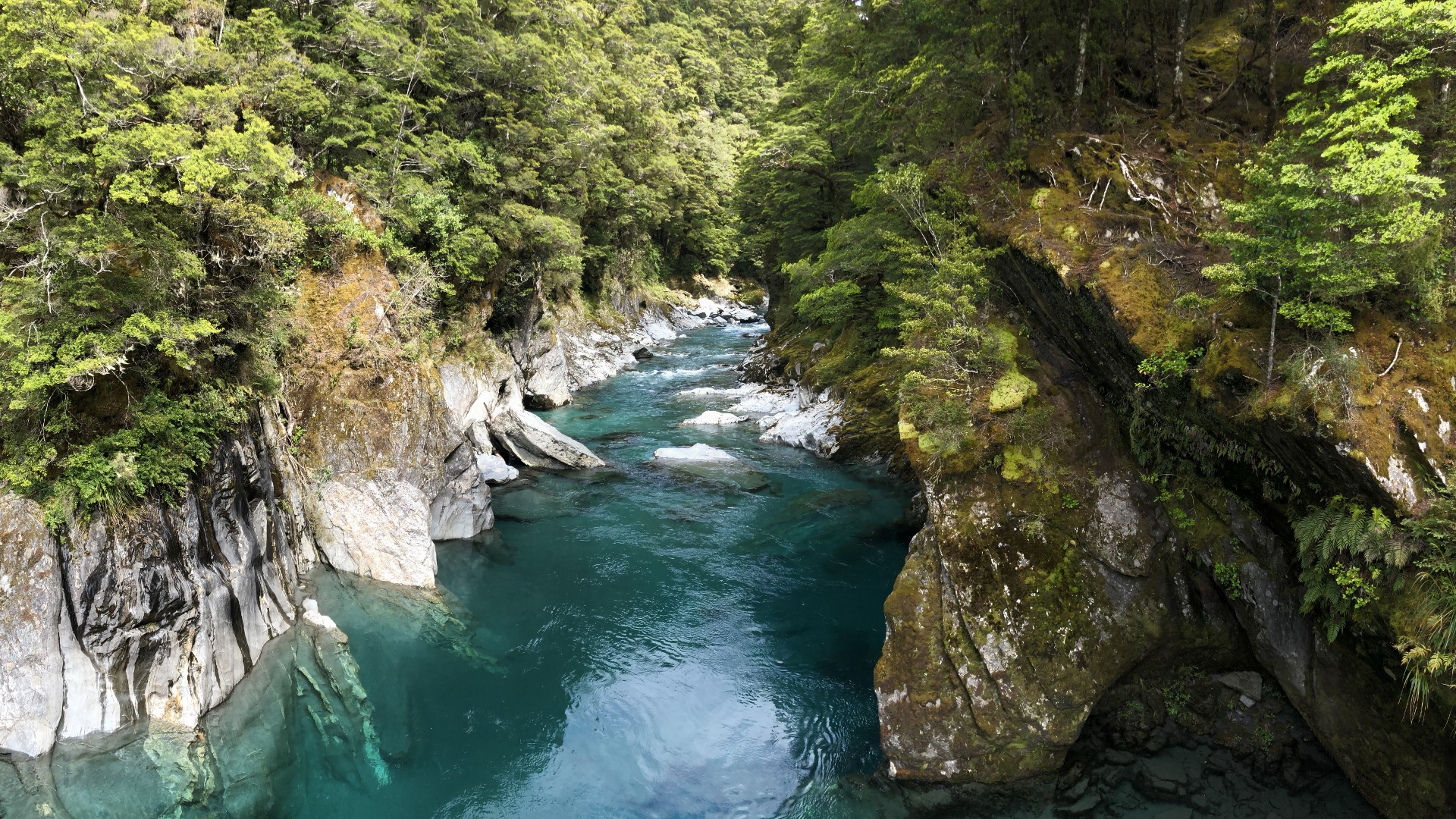 18.11.26 New Zealand 21