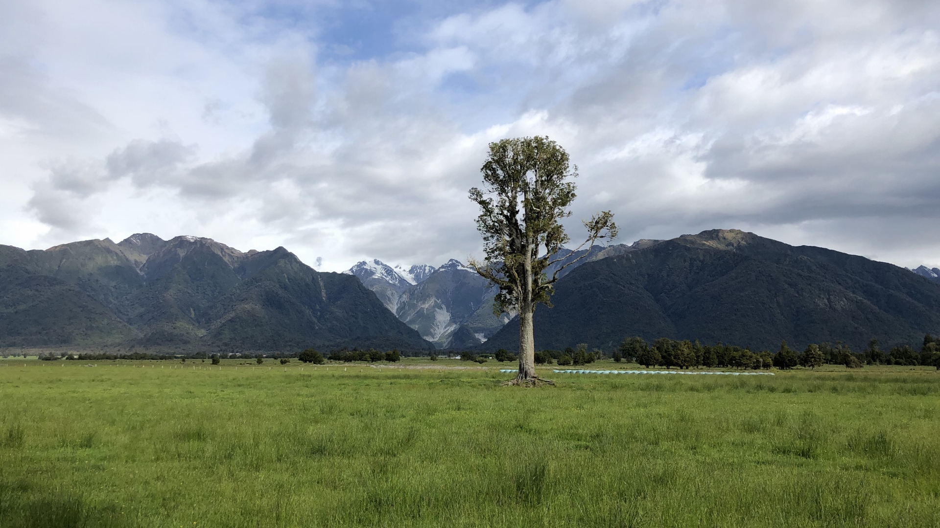 18.11.26 New Zealand 44