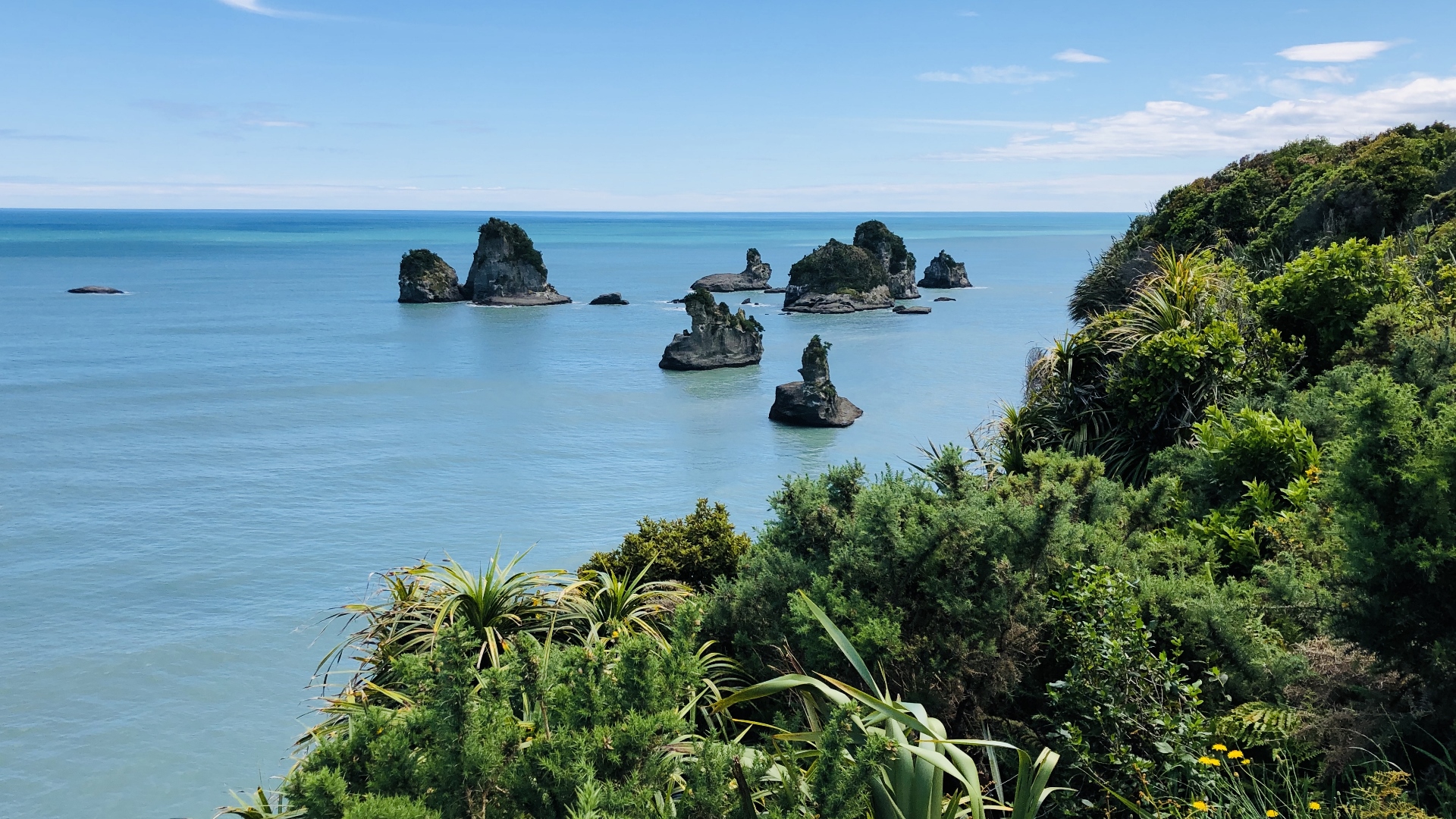 18.11.27 New Zealand 15