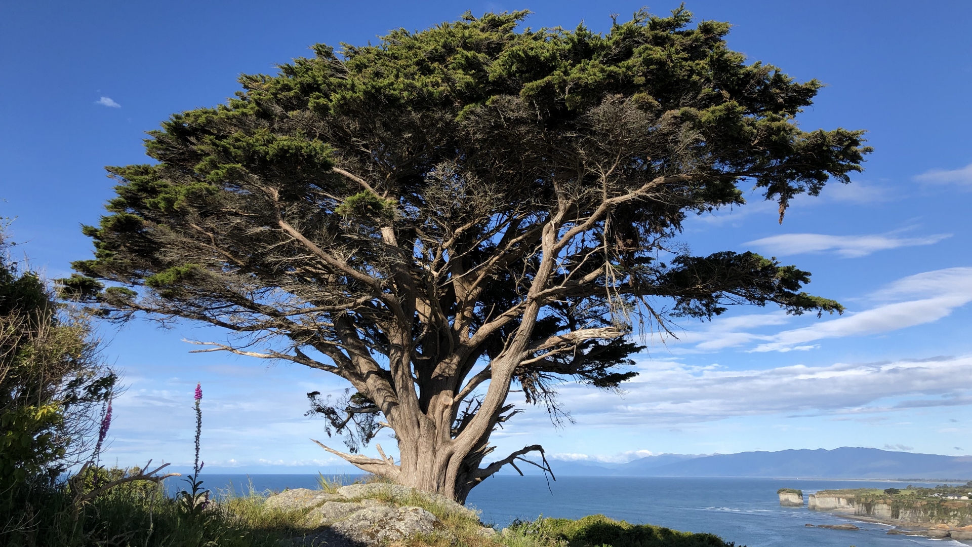 18.11.27 New Zealand 24