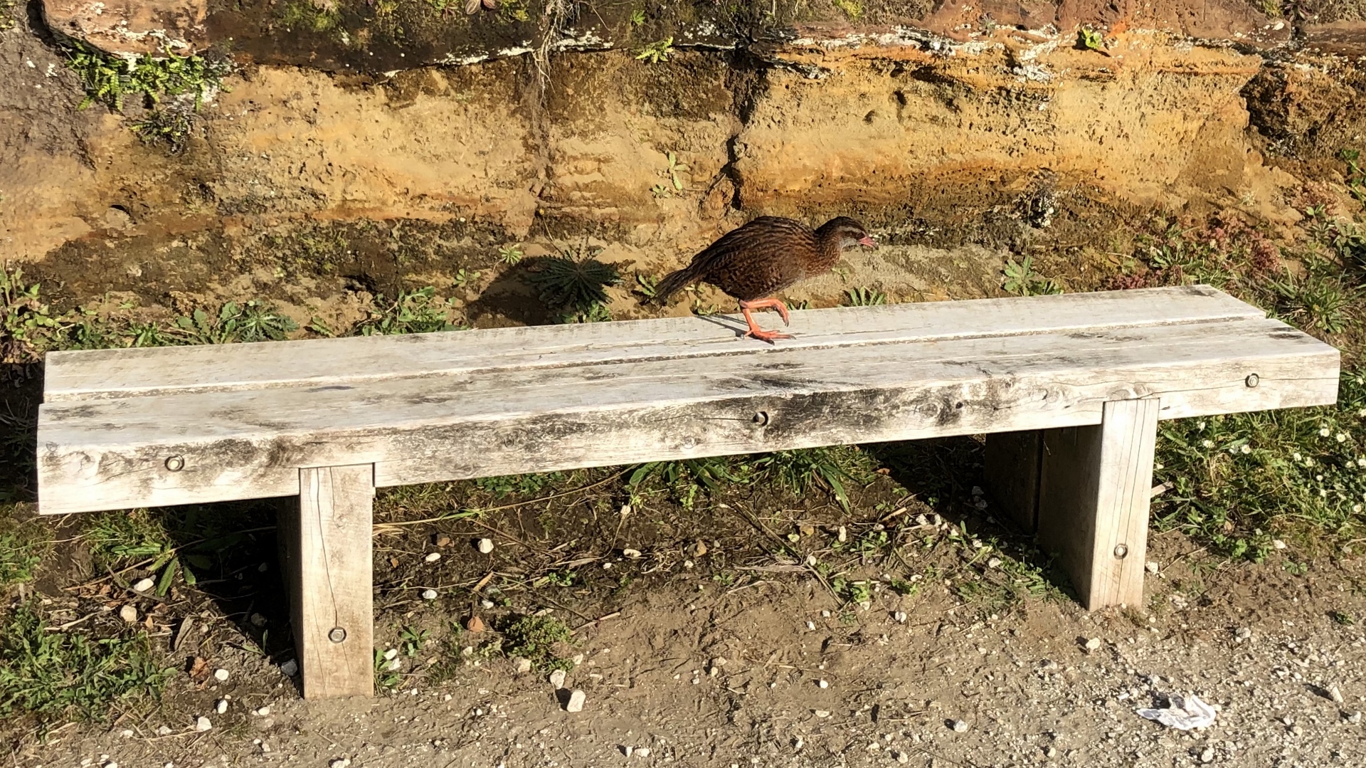 18.11.27 New Zealand 40