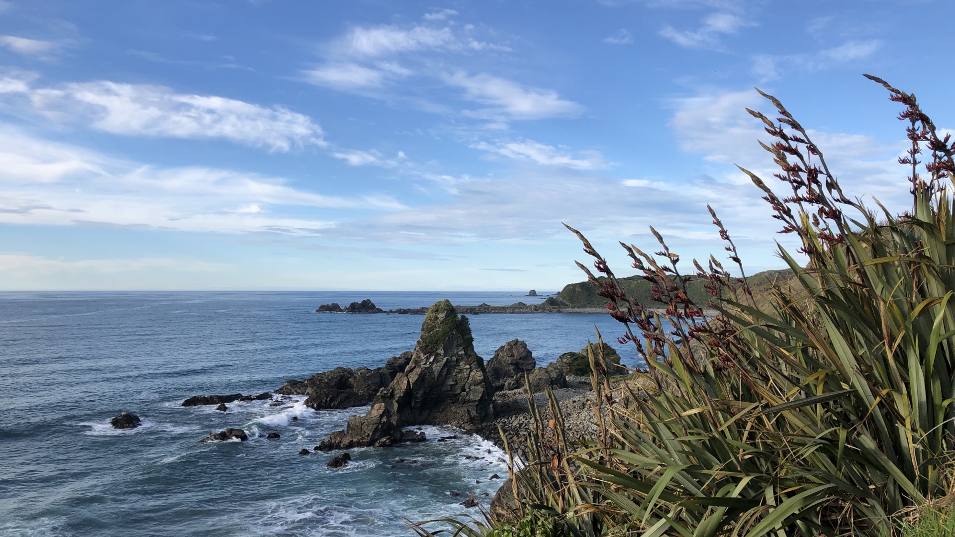 18.11.27 New Zealand 44