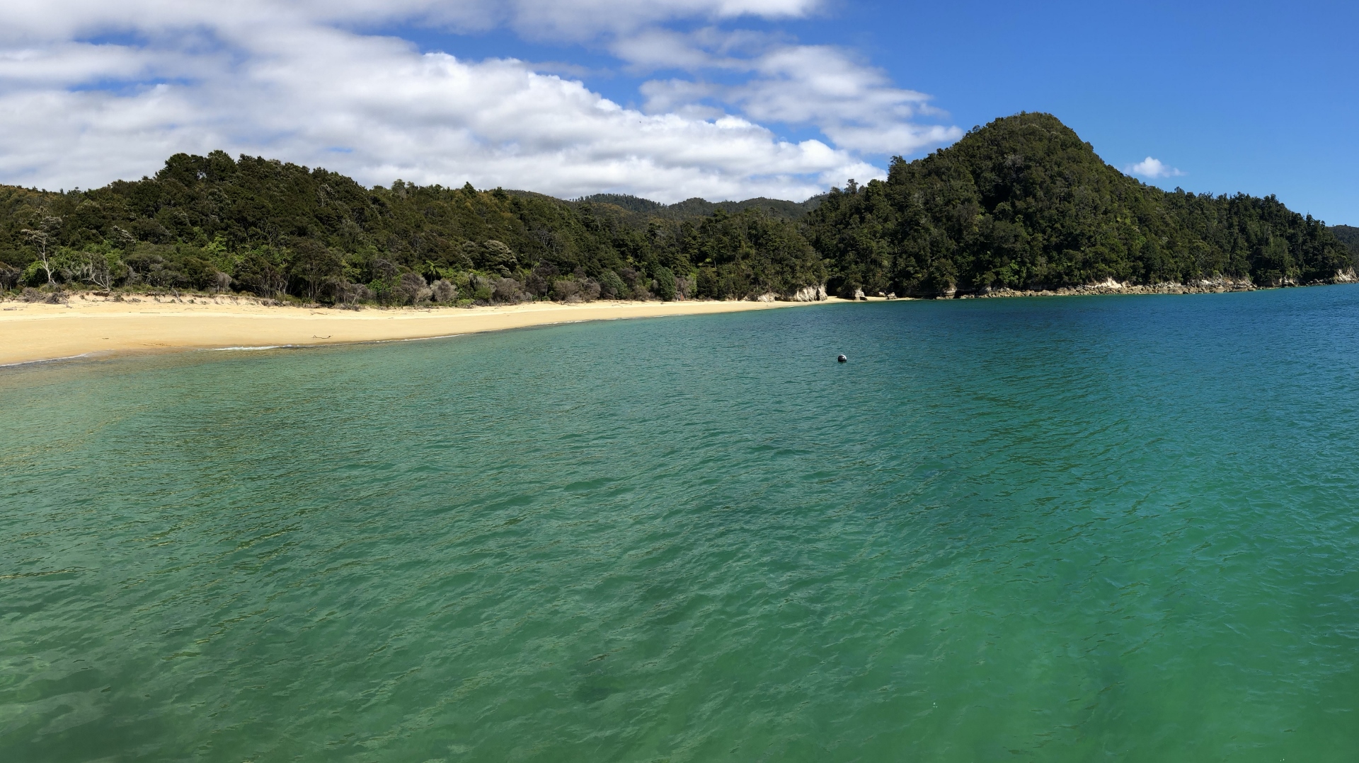 18.11.29 New Zealand 08