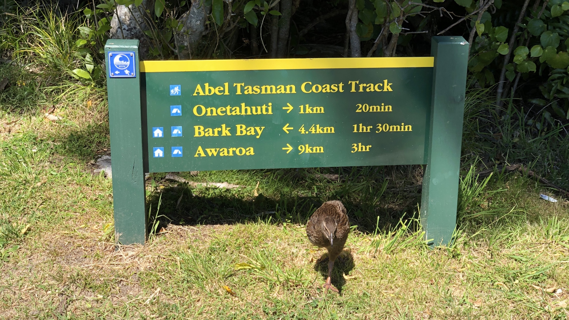 18.11.29 New Zealand 10