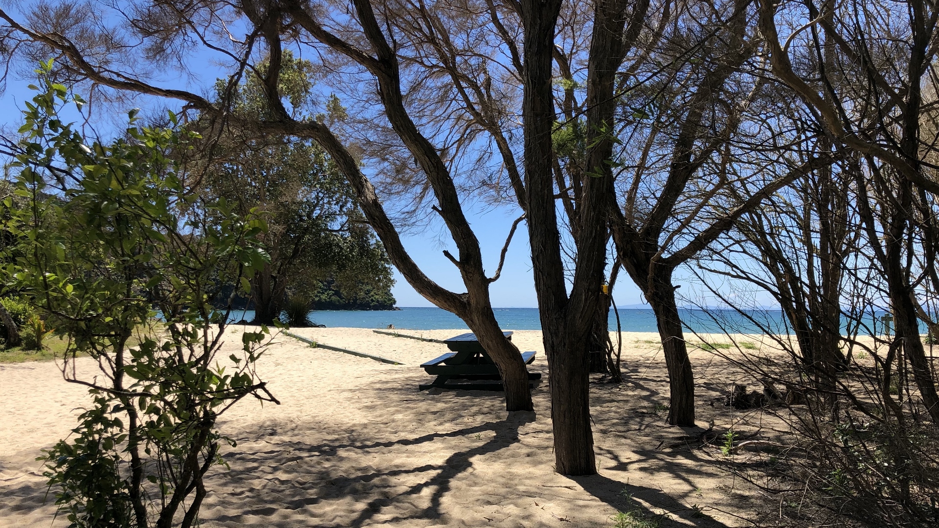 18.11.29 New Zealand 14