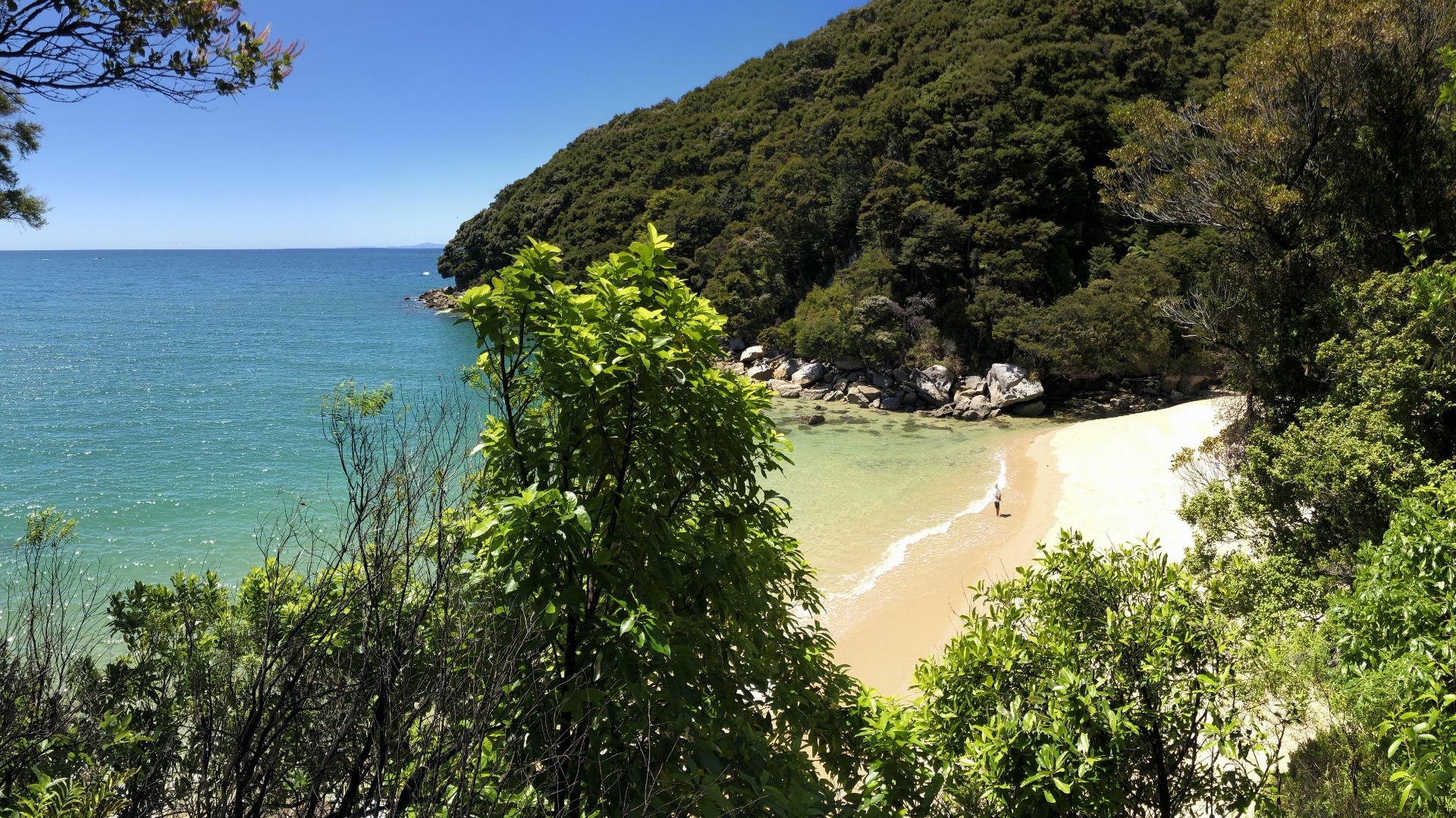 18.11.29 New Zealand 18