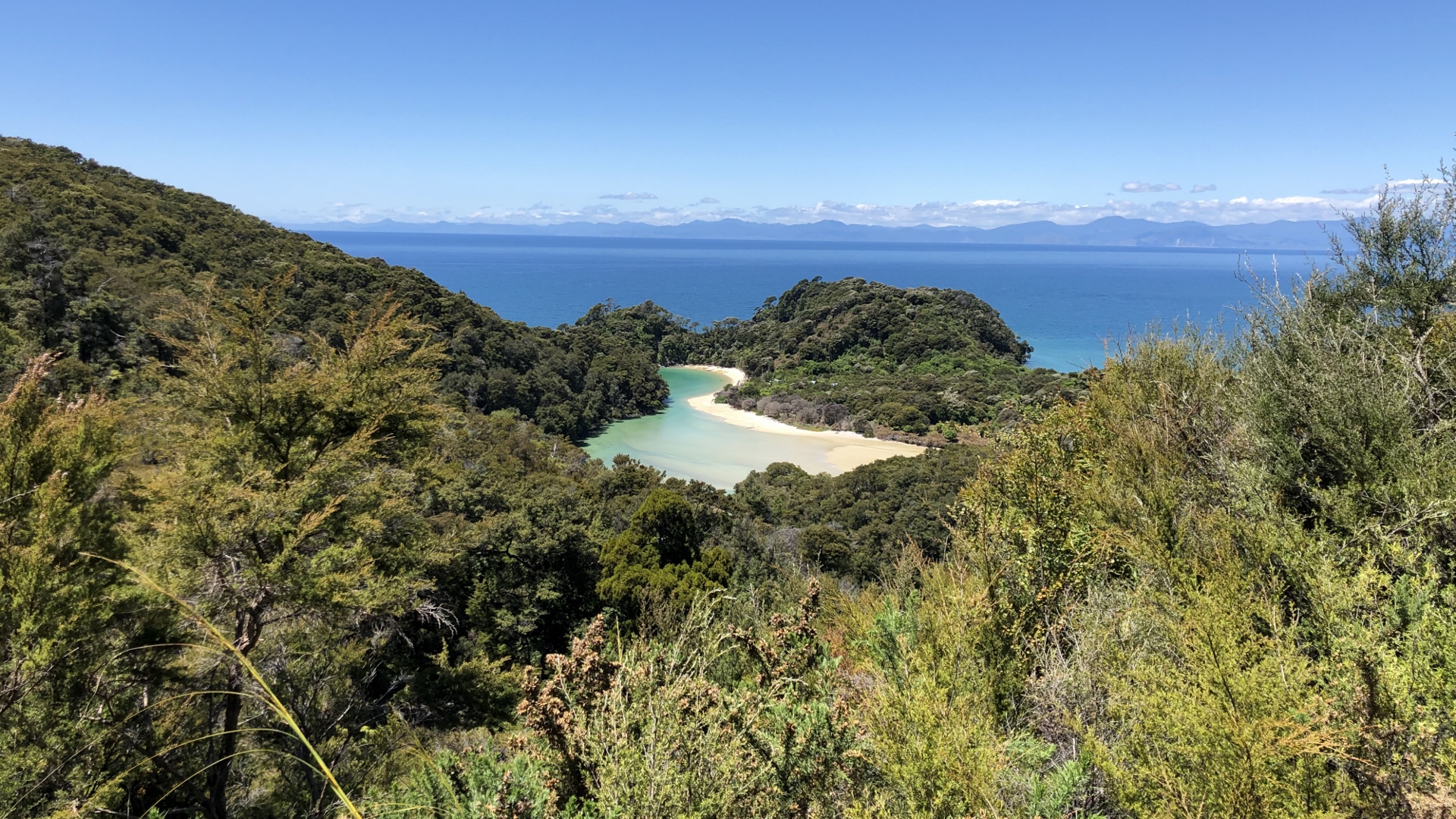 18.11.29 New Zealand 25