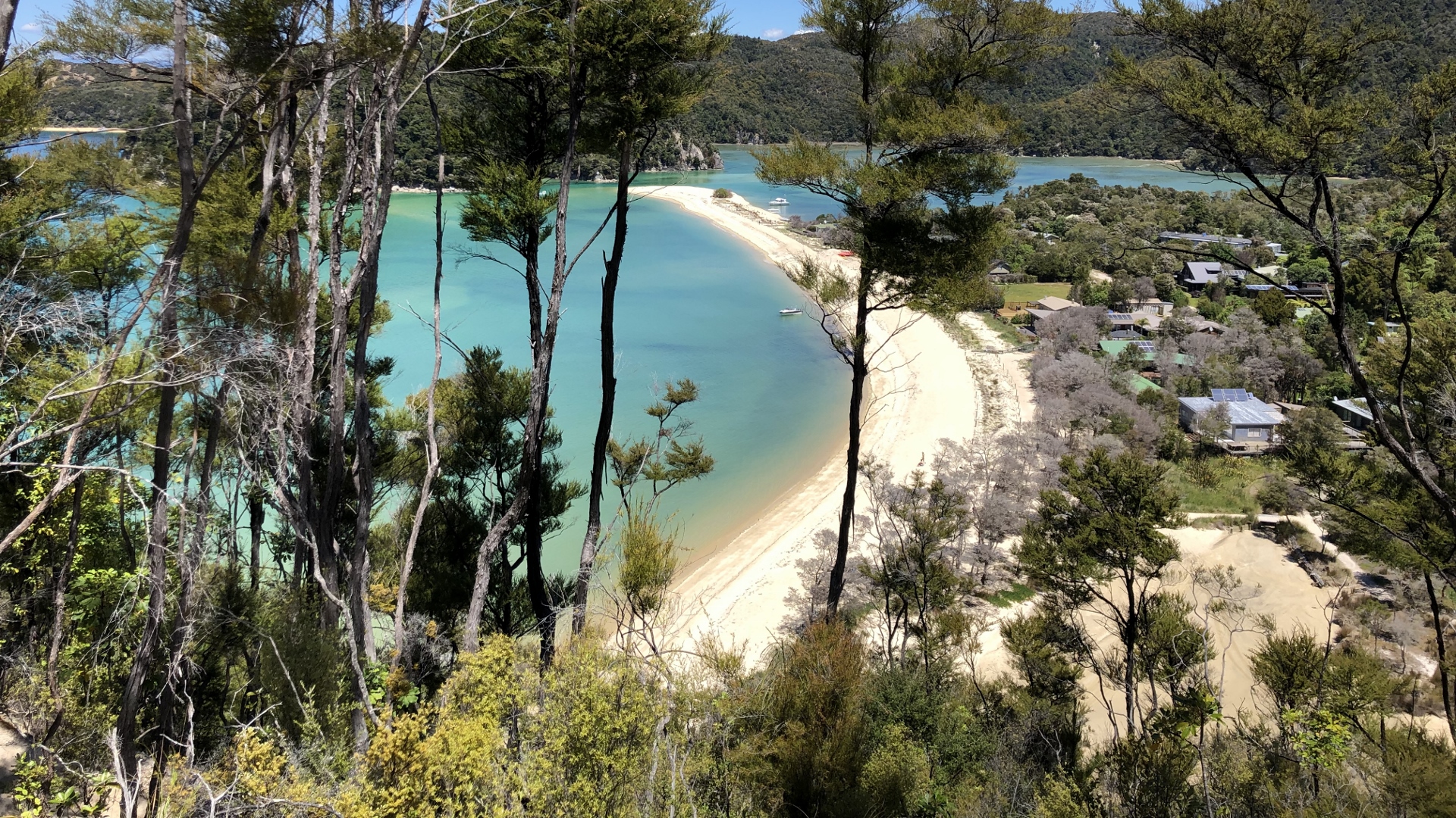 18.11.29 New Zealand 26