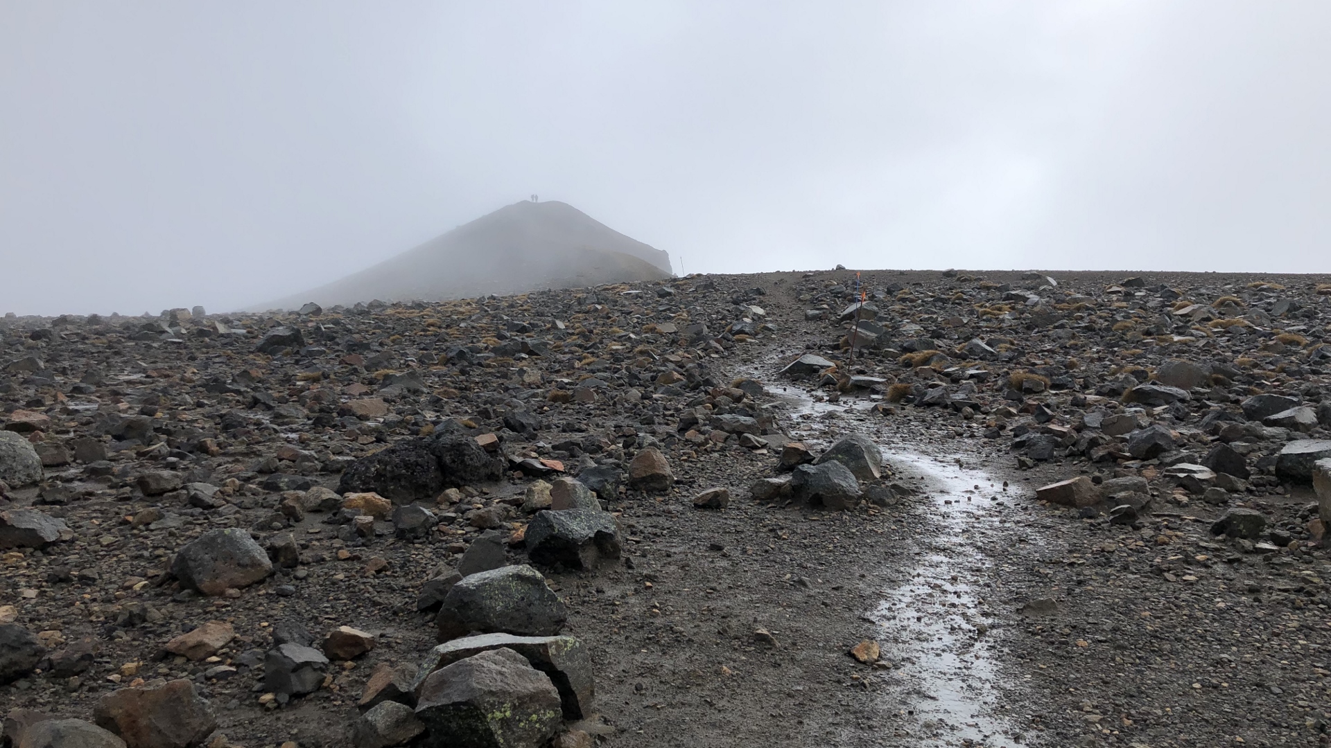 18.12.02 New Zealand 14