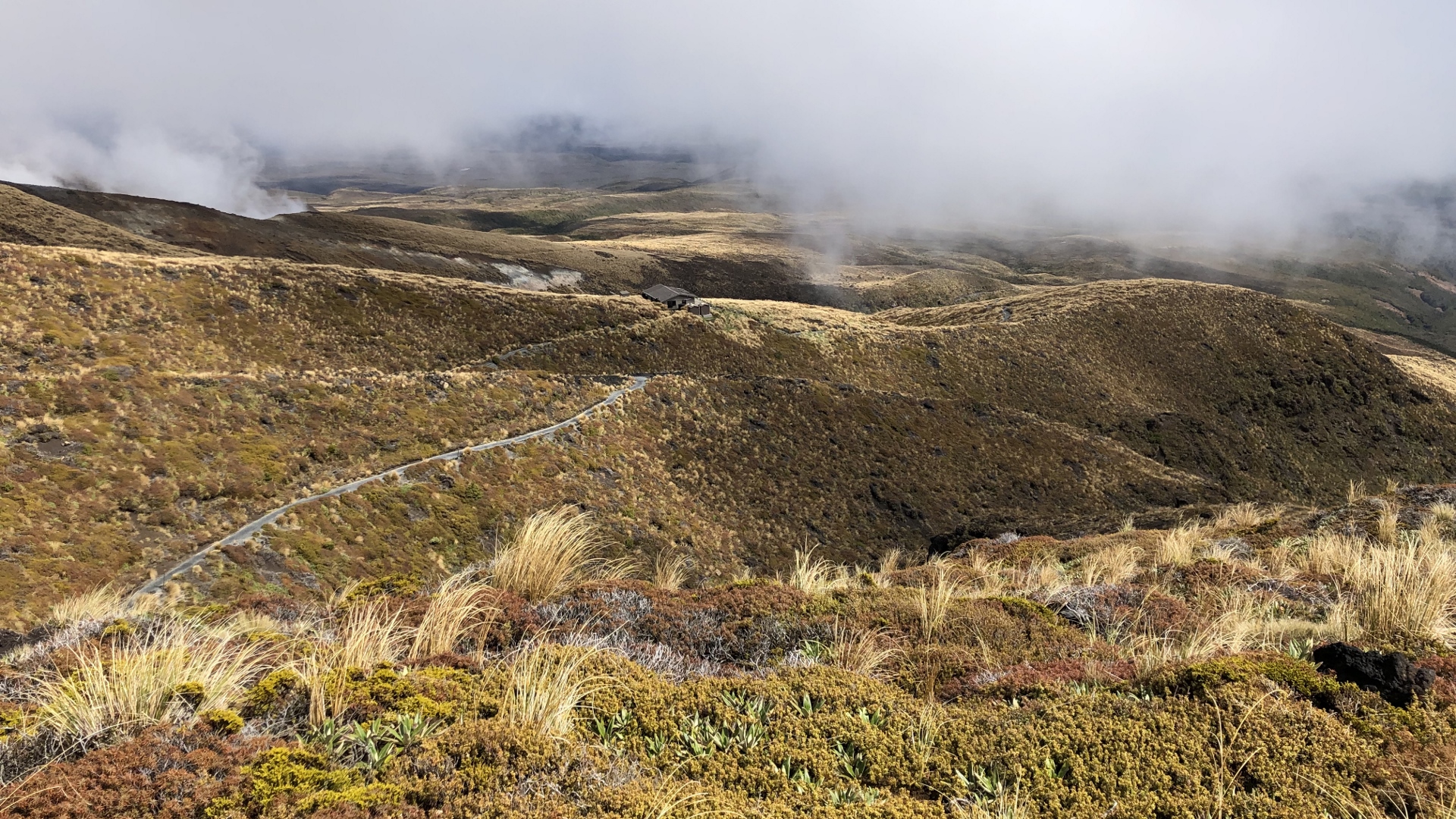 18.12.02 New Zealand 25