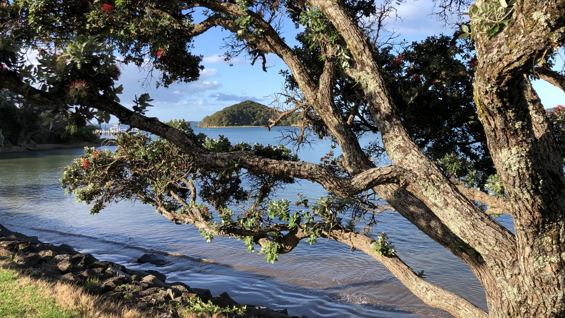 18.12.06 New Zealand 31