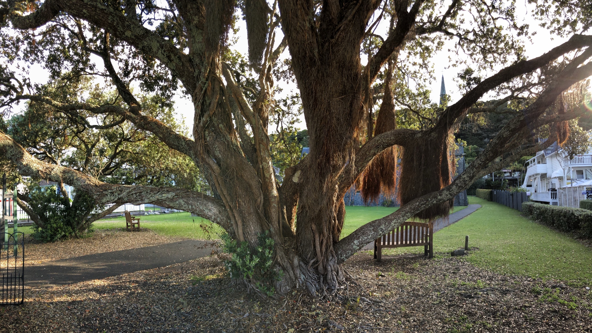 18.12.06 New Zealand 34