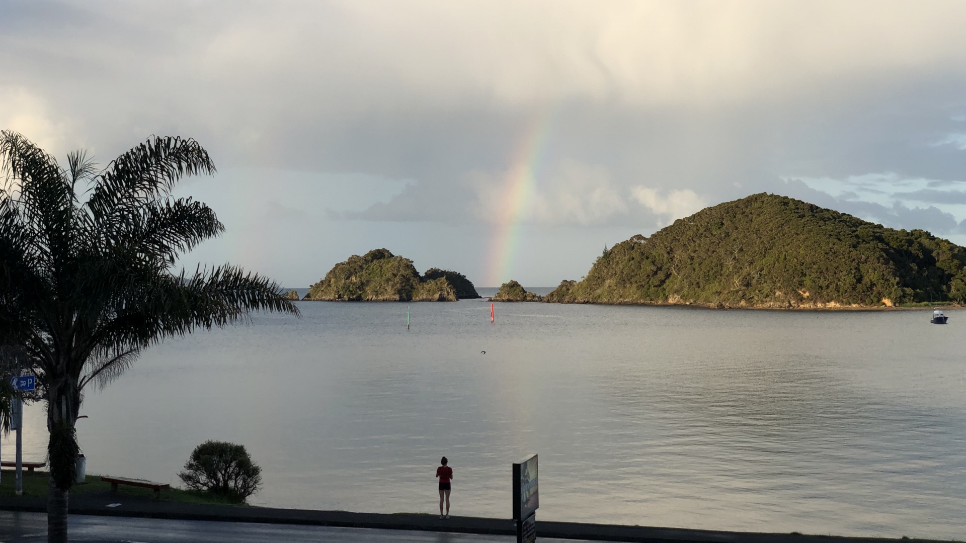 18.12.06 New Zealand 52