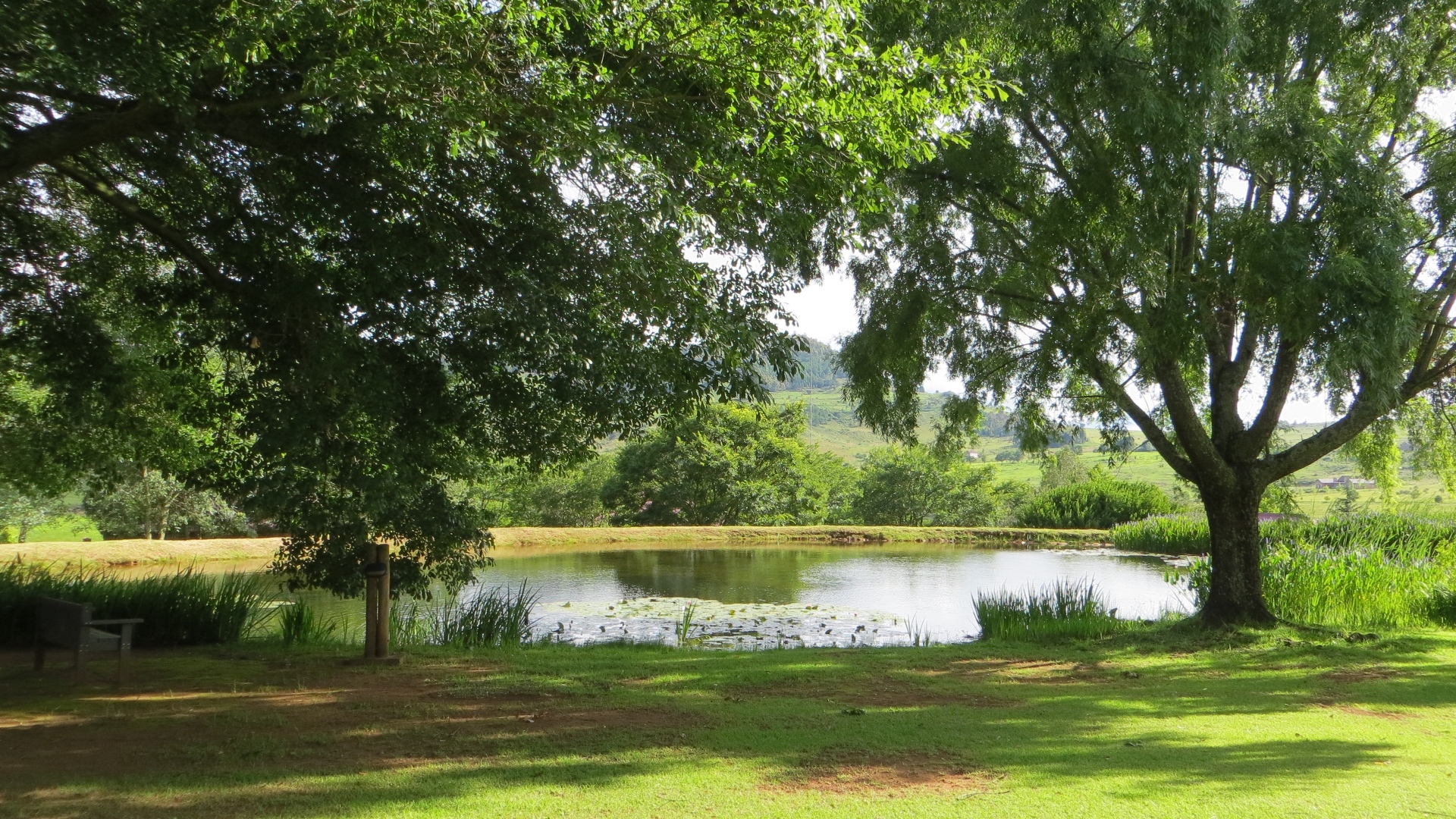 16.12.28 Sud Africa 14