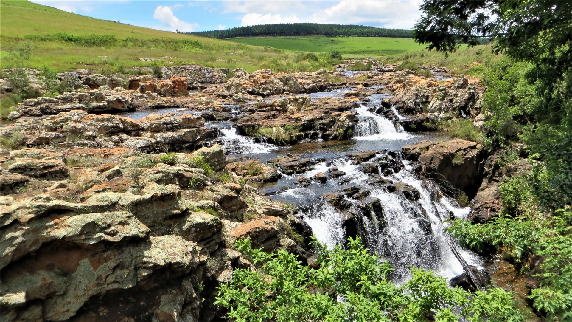 16.12.28 Sud Africa 41