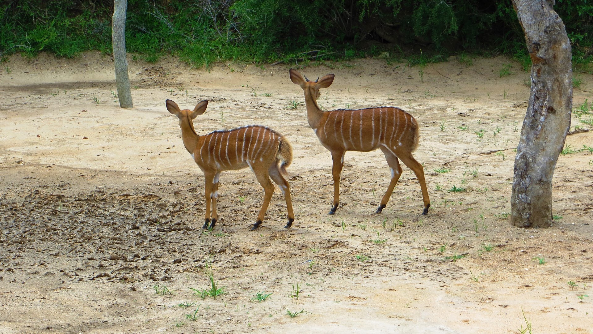 16.12.28 Sud Africa 54