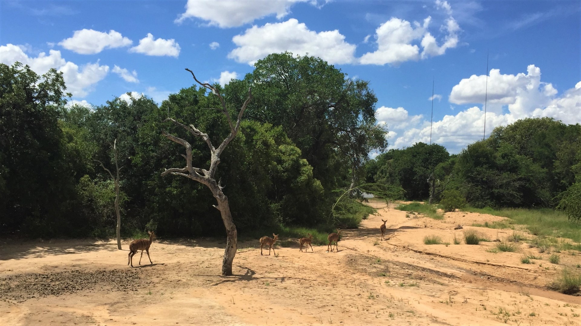 16.12.28 Sud Africa 56