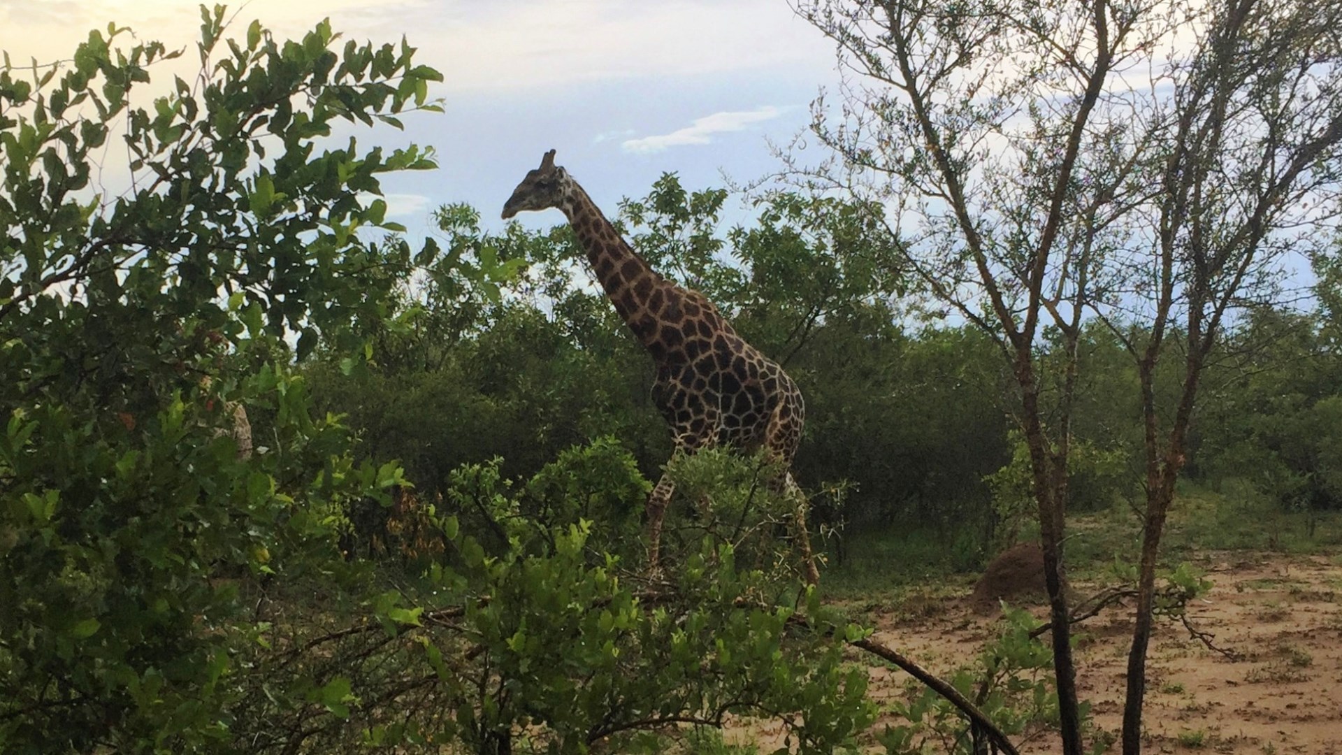 16.12.28 Sud Africa 60