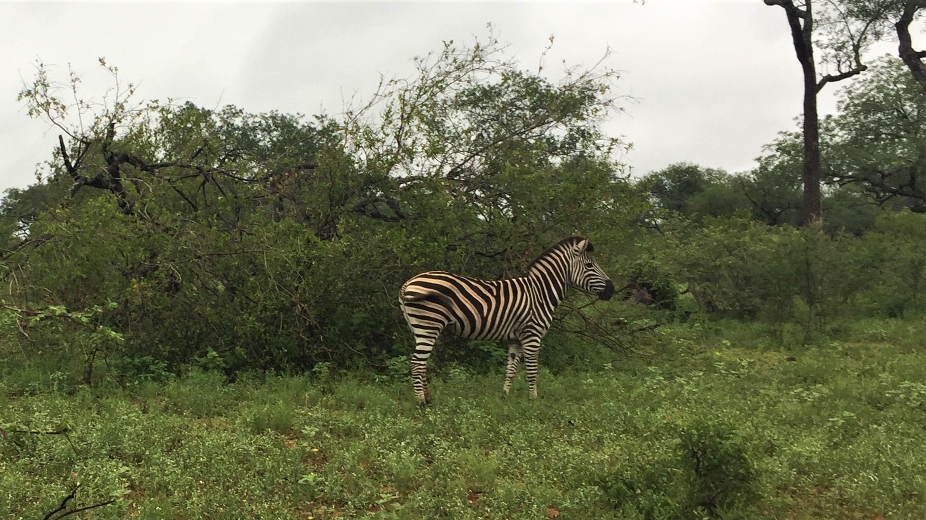 16.12.29 Sud Africa 13