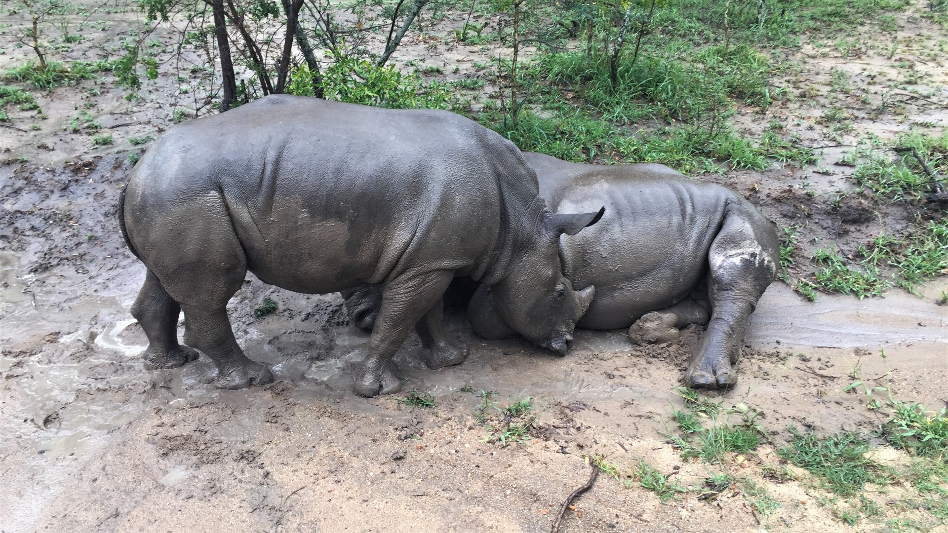 16.12.29 Sud Africa 26