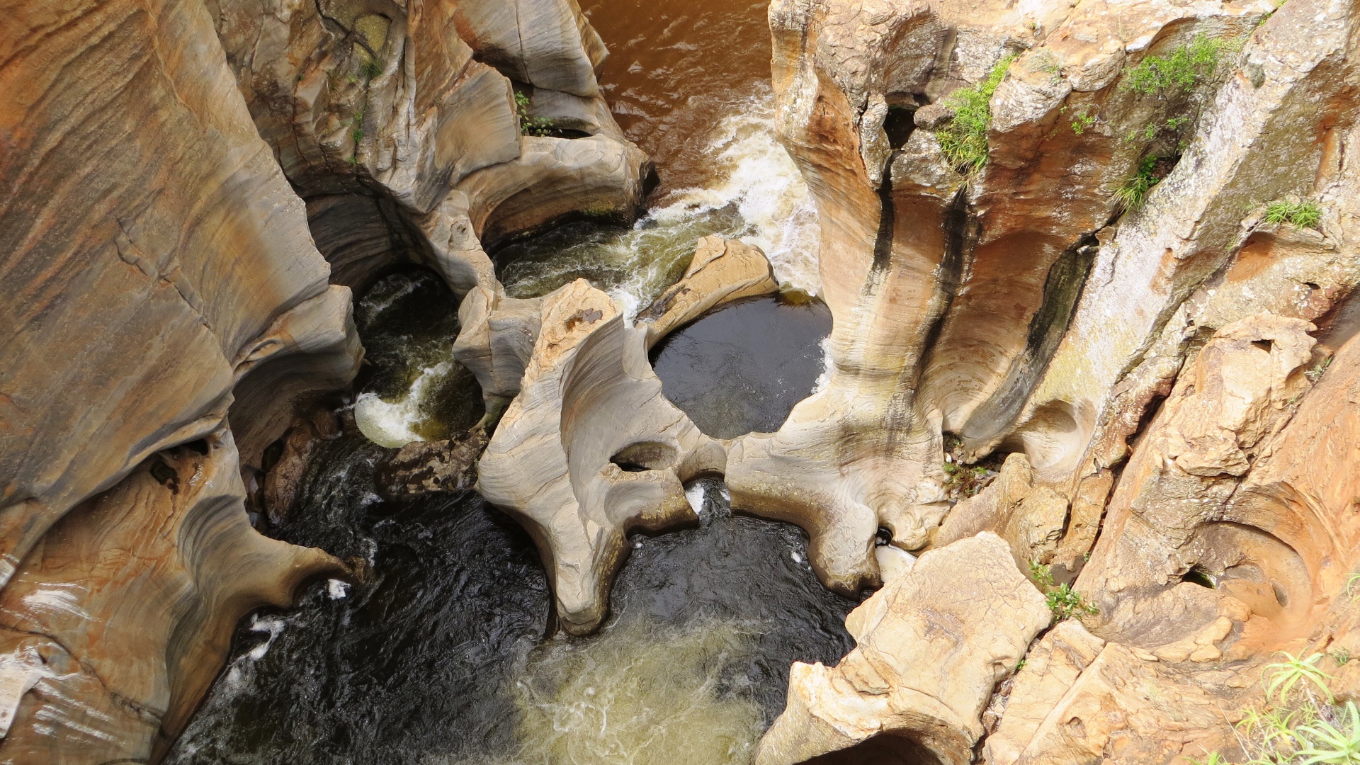 16.12.30 Sud Africa 53