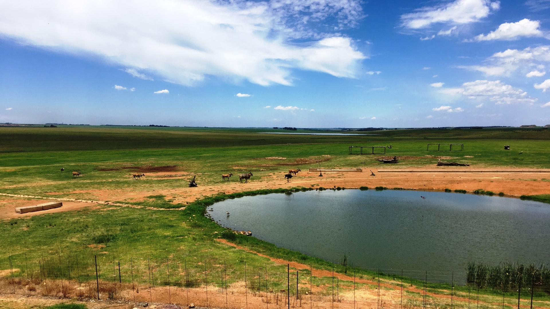 16.12.31 Sud Africa 11