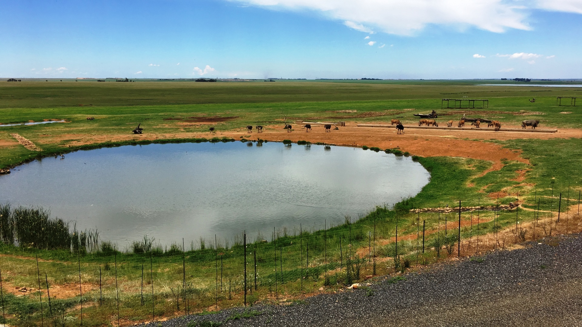 16.12.31 Sud Africa 12