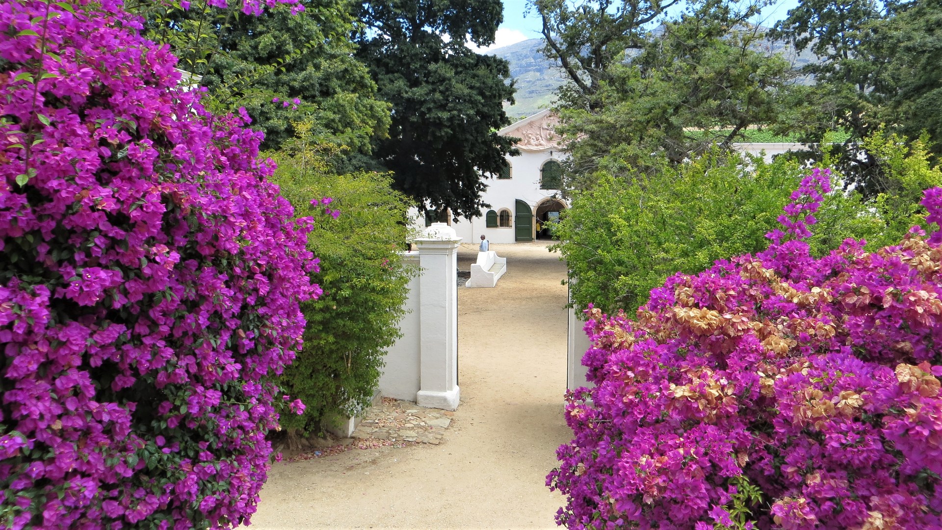 17.01.01 Sud Africa 02