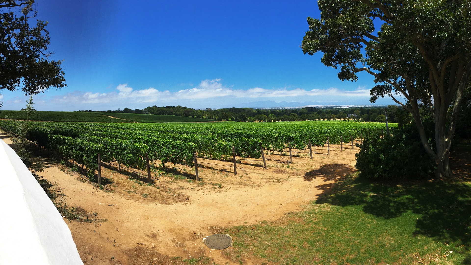 17.01.01 Sud Africa 06