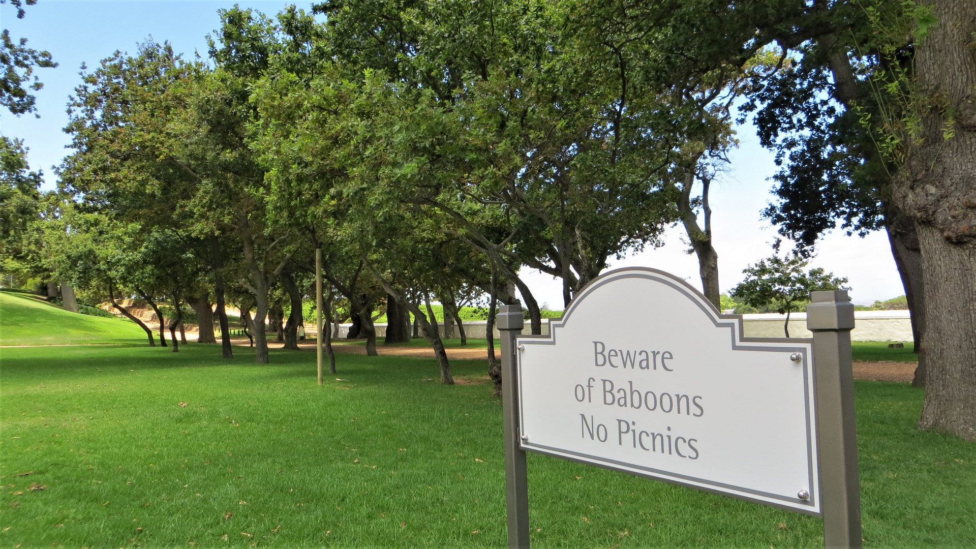 17.01.01 Sud Africa 07