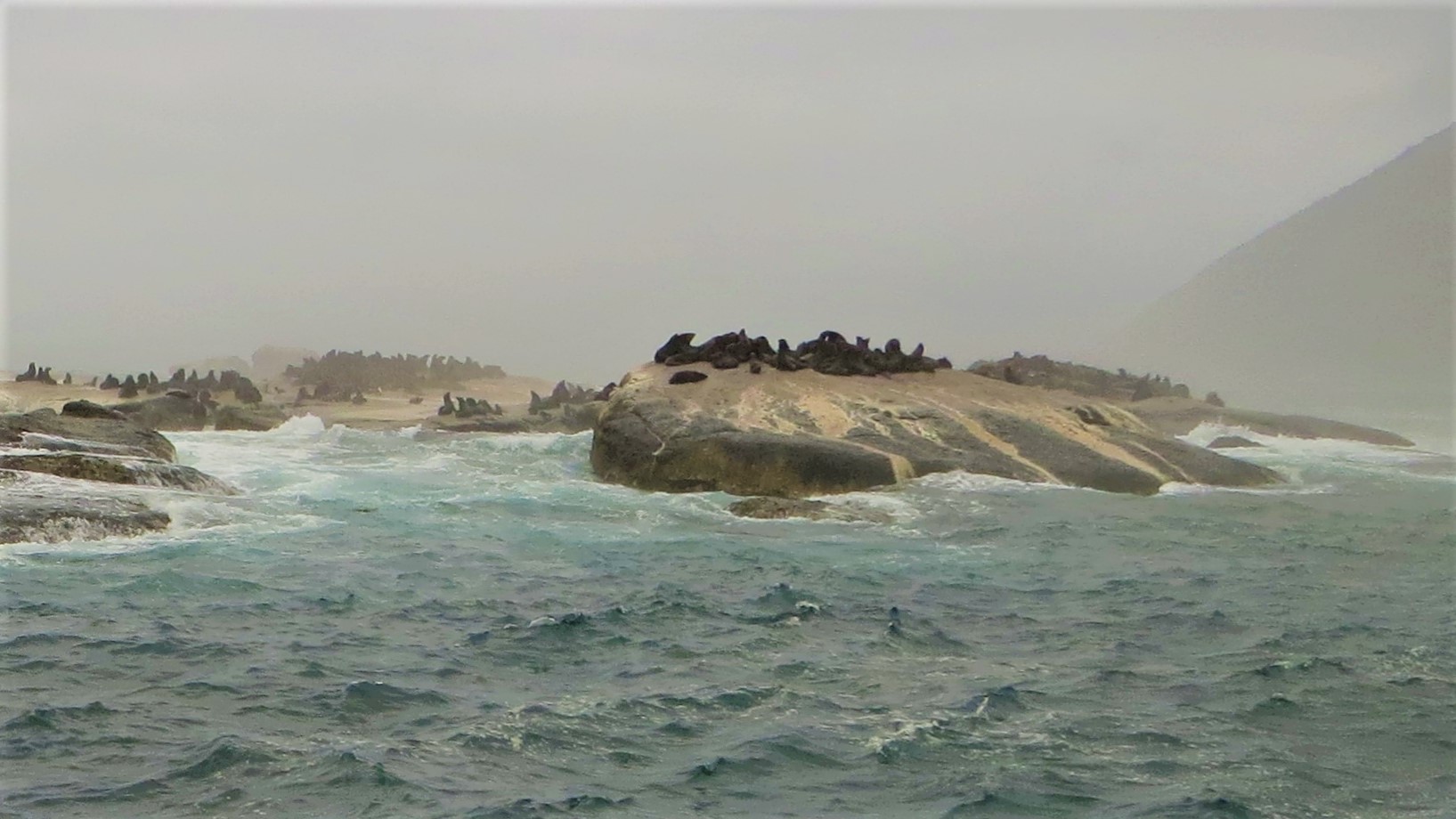 17.01.02 Sud Africa 07