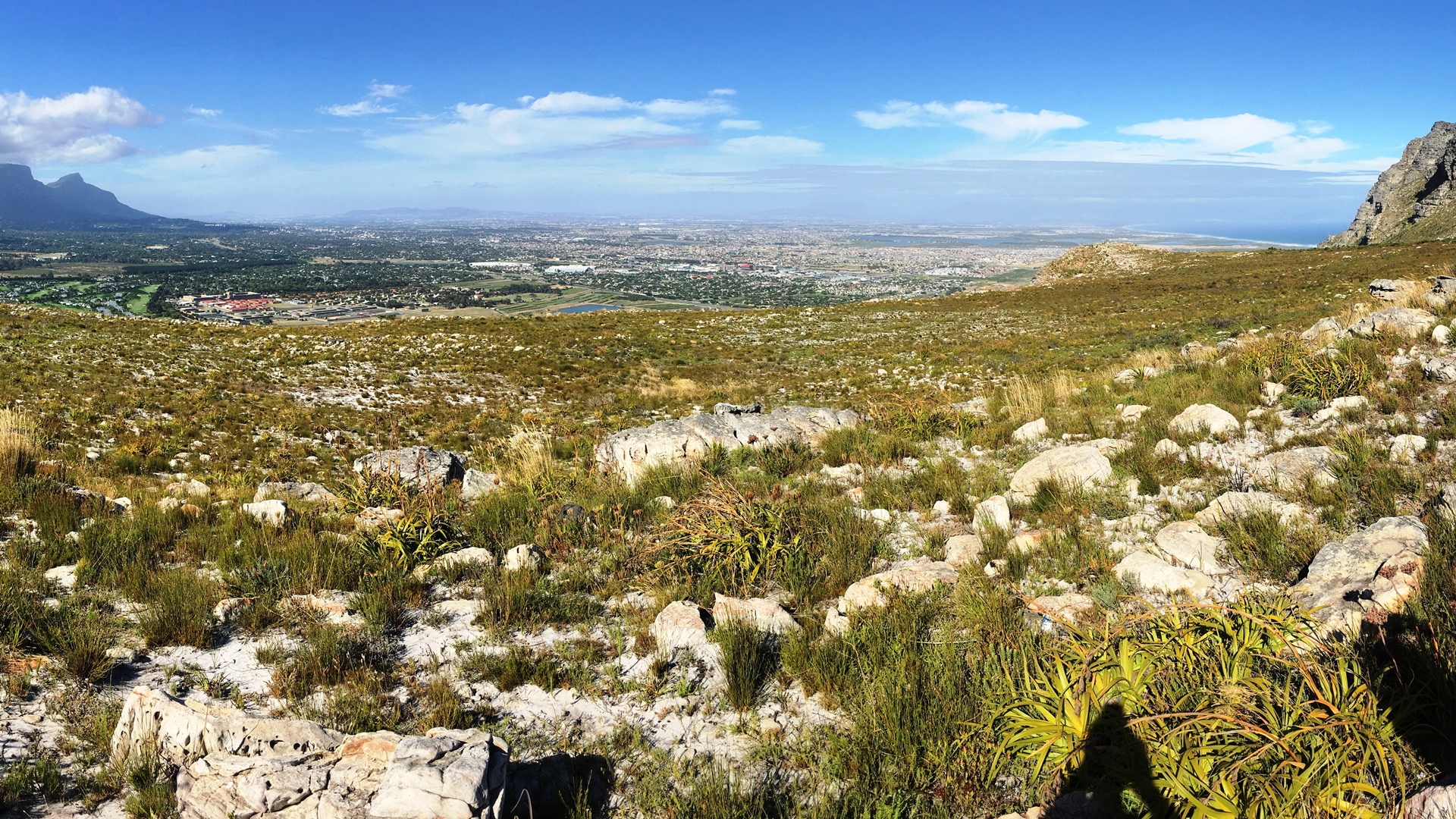 17.01.02 Sud Africa 43