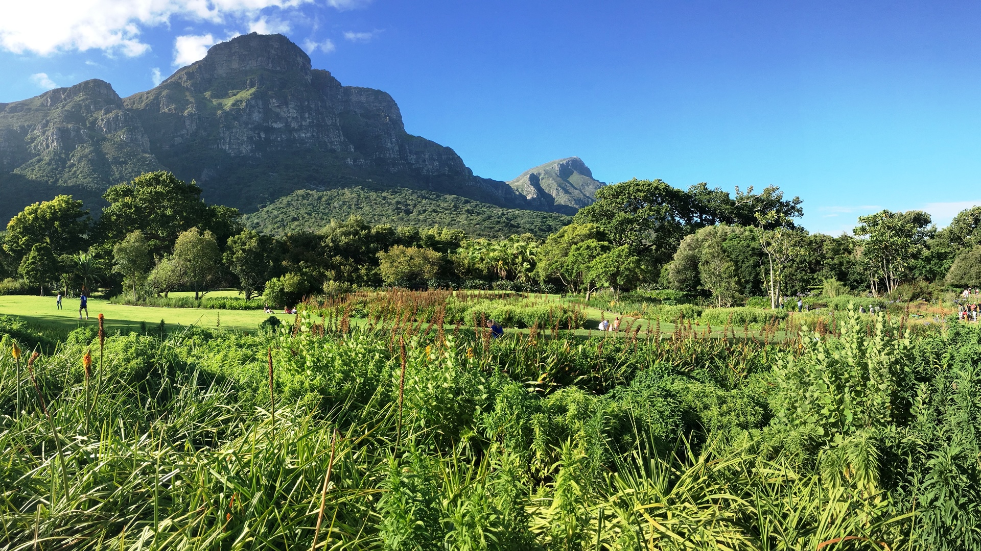 17.01.02 Sud Africa 45