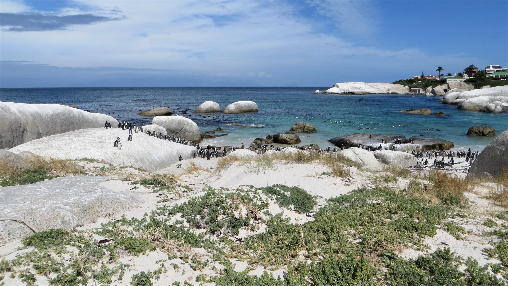 17.01.02 Sud Africa 48