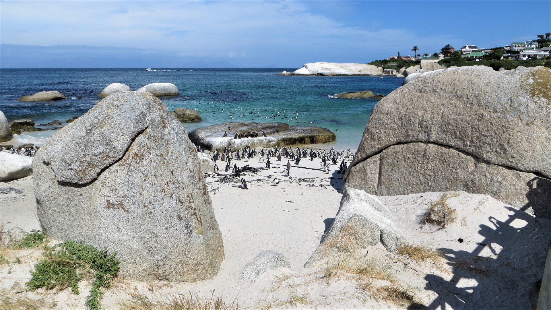 17.01.02 Sud Africa 49