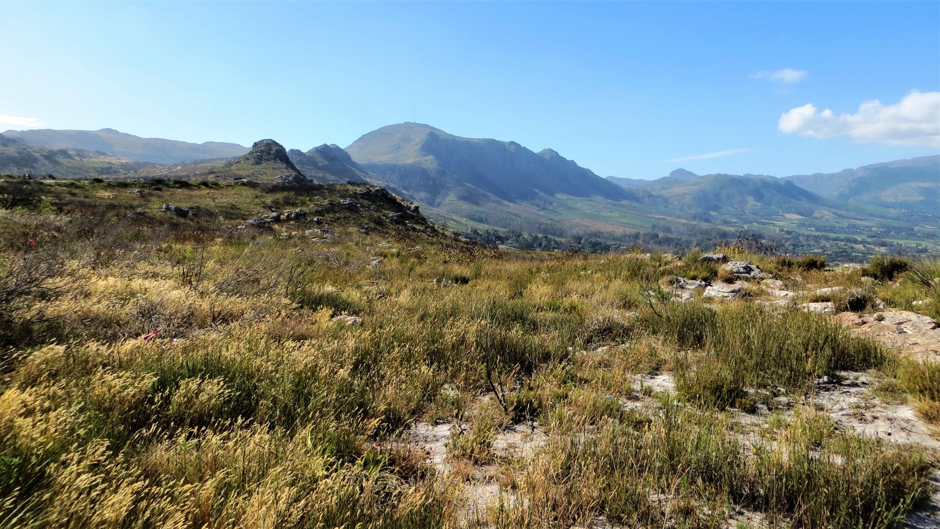 17.01.02 Sud Africa 67